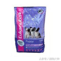 16330008151221a8accd?from=pc