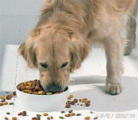 1684000819efbece4ed6?from=pc