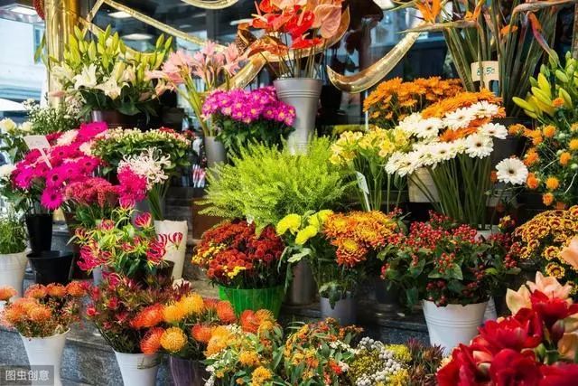 开花艺工作室or开花店，一文帮你分析清