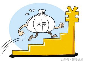 两个小例子，轻松看懂 “期权、股权、原始股”