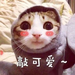 这么多大学生日入几十上百的网上兼职，有哪些是真正靠谱的？
