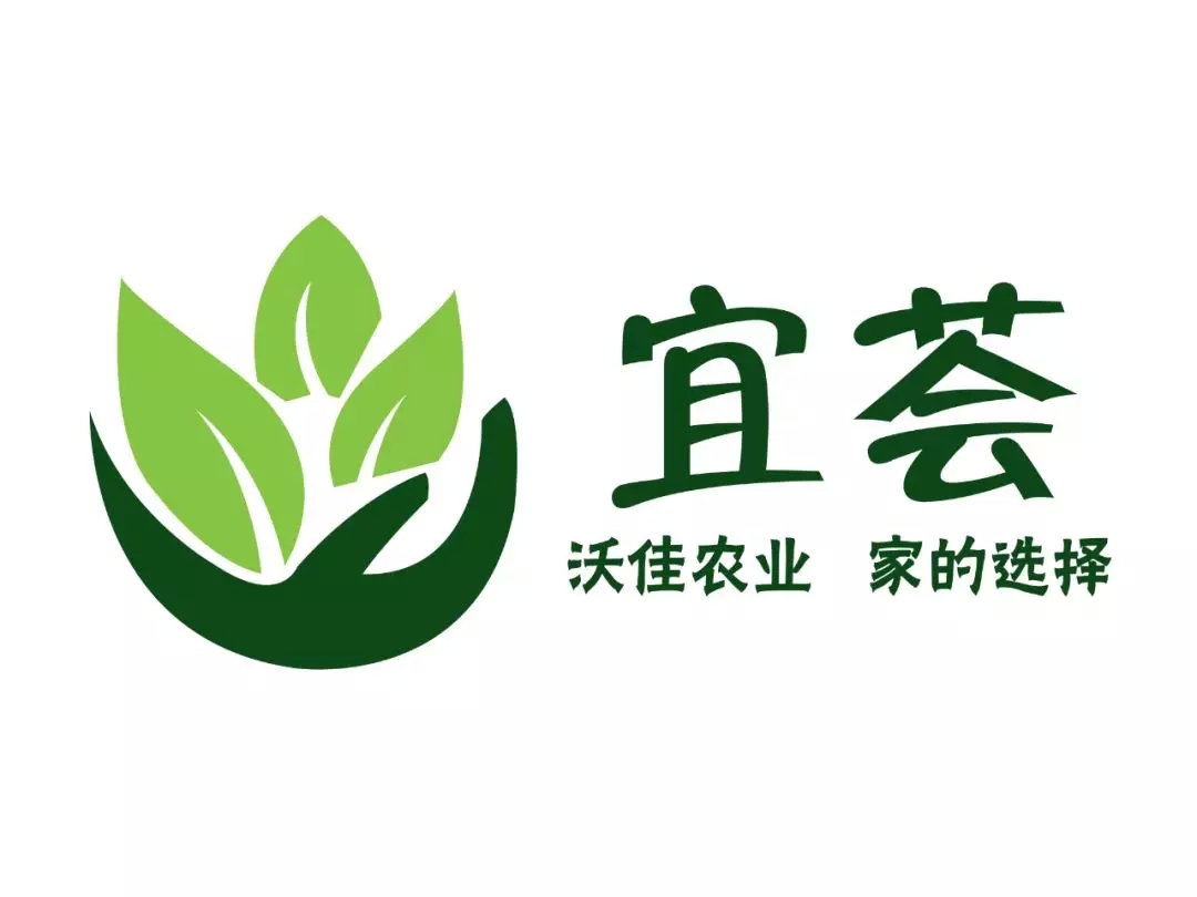 1分钟在线LOGO自助设计 帮你打造个性LOGO