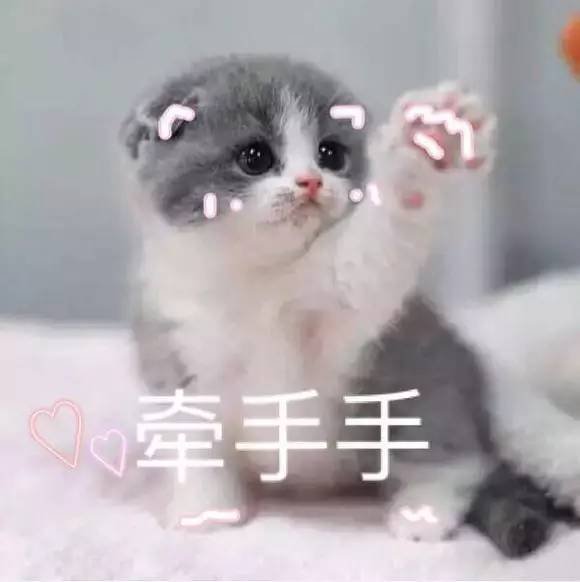 你那些曾经热闹的QQ群是不是越来越冷清了？
