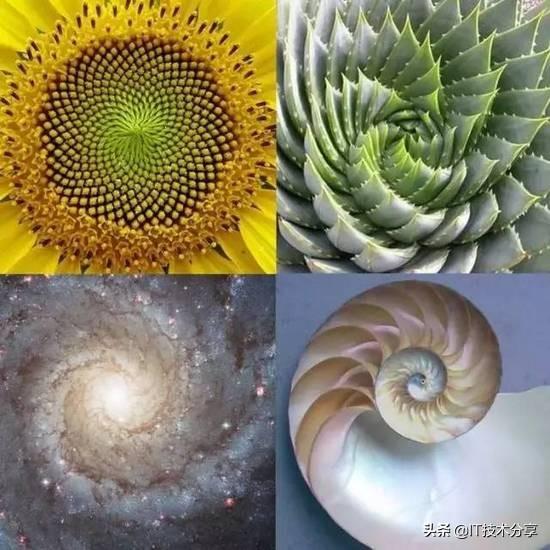 怎样成为一个优秀的架构师？资深技术专家告诉你