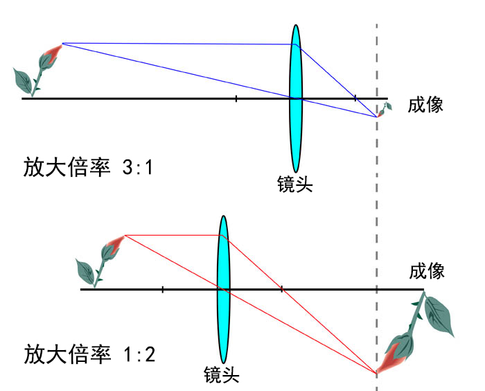 1b13051443b44d0b9c15b5af487bd034?from=pc