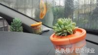 光老创业有感：谈谈创业者与生意人的关系