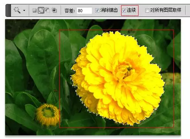 PS魔棒抠图如何控制抠图细节，提高抠图品质