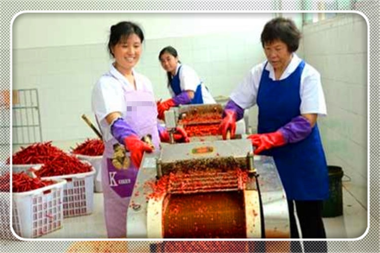 2021年想在农村办一个加工厂，有哪些项目能赚钱、有前景？