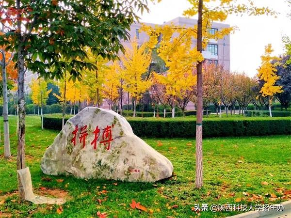 西安女大学生创业，一个月创造30万业绩，从负债累累到收入百万！