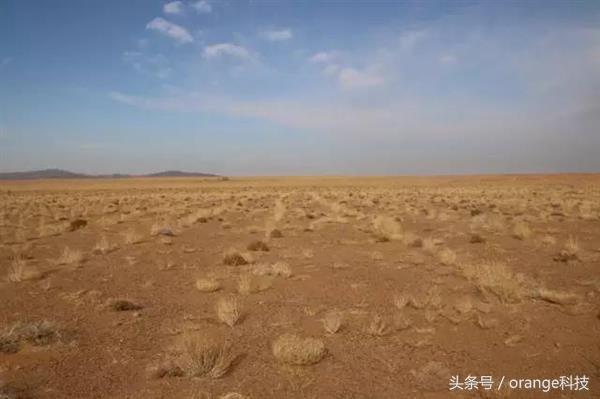 支付宝“蚂蚁森林”真的会在沙漠种树？来看看你的树种在了哪里！