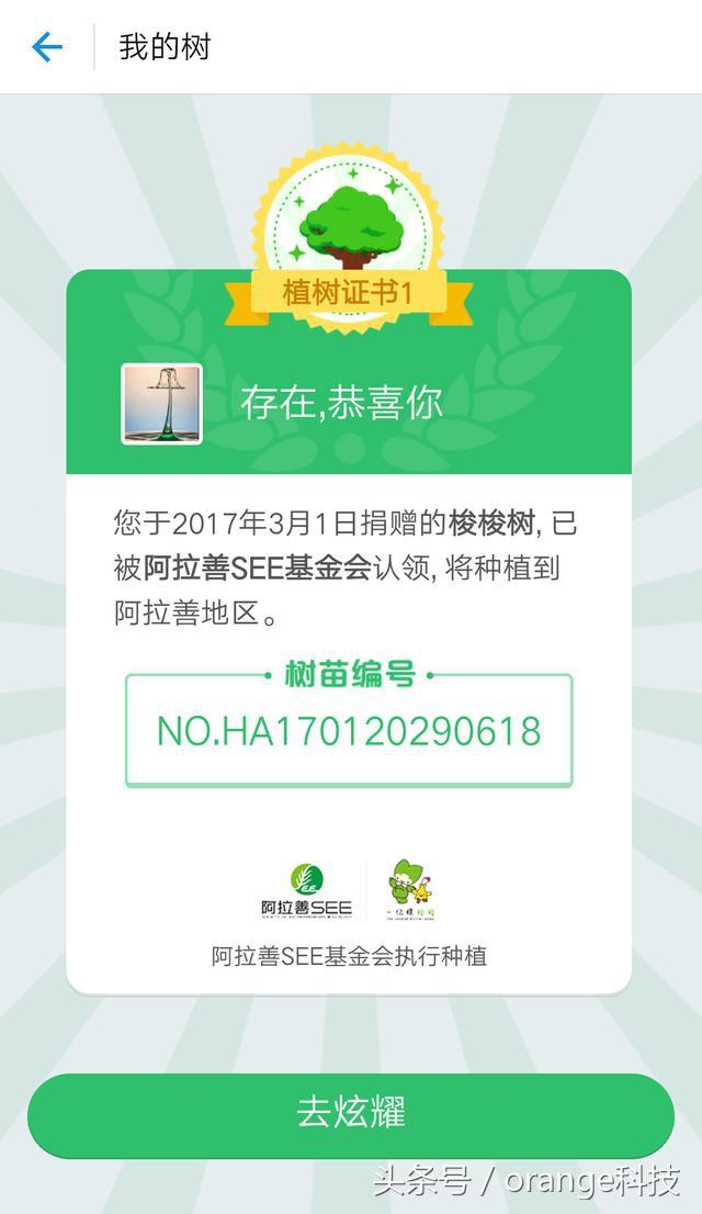支付宝“蚂蚁森林”真的会在沙漠种树？来看看你的树种在了哪里！