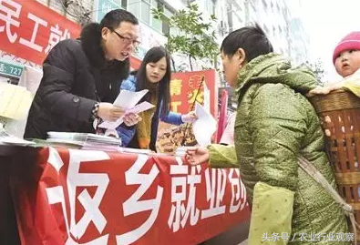 一半火焰、一半冰山！这里有8个农村创业失败的真实案例！