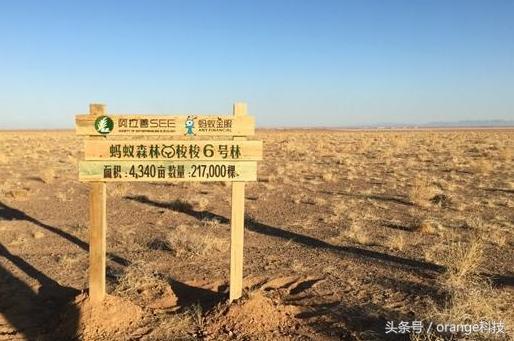 支付宝“蚂蚁森林”真的会在沙漠种树？来看看你的树种在了哪里！