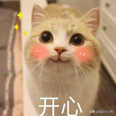 DWG转DWF怎么转？办公党的必备方法