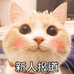 别急着报补习班！5个免费自学英语的网站，先收藏再说