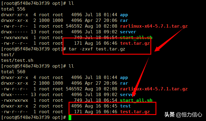 Linux解压缩tar.gz、zip、rar等6种常见文件（实践整理）