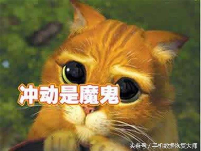 没有手机号和微信号如何找回已删除的微信好友？