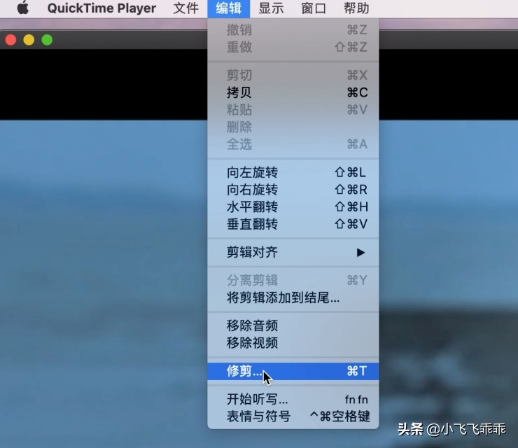 你可能根本不了解QuickTime！不局限于播放的播放器！