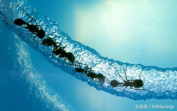 人工智能对图像的四大算法，你知道吗？