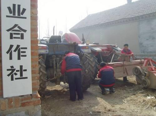 未来农村，这3个项目“吃香”，能赚钱还有补贴拿，农民不妨试试