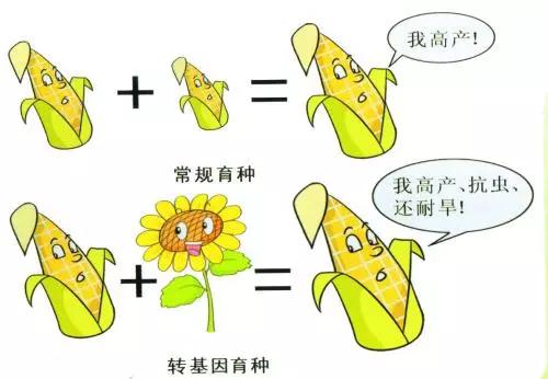 什么是转基因？ 什么是转基因食品？ 什么都不知道你反个什么！