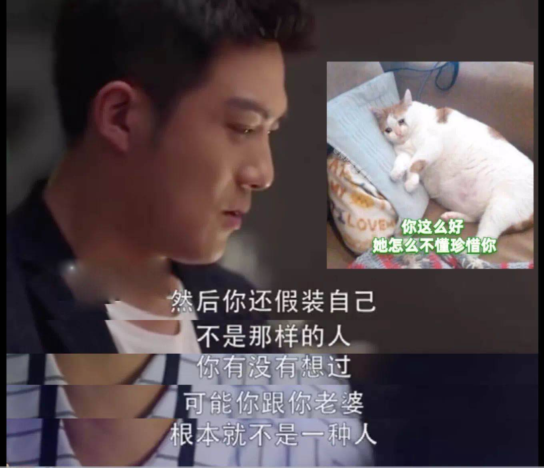 高段位绿茶女能可怕到什么地步？“玩弄男人，我从来没输过”