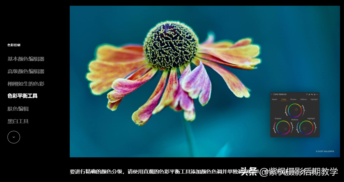 比PS更强大的软件用过么？照片摄影后期之王 飞思 Capture One 最新版