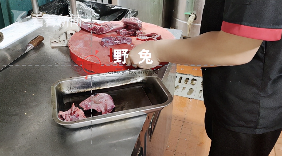 杭州多个市场仍在售卖野味；沈梦辰太缺钱被曝闲置衣服翻三倍出售