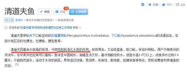 清道夫鱼真的不会吃鱼便，但能吃这种藻