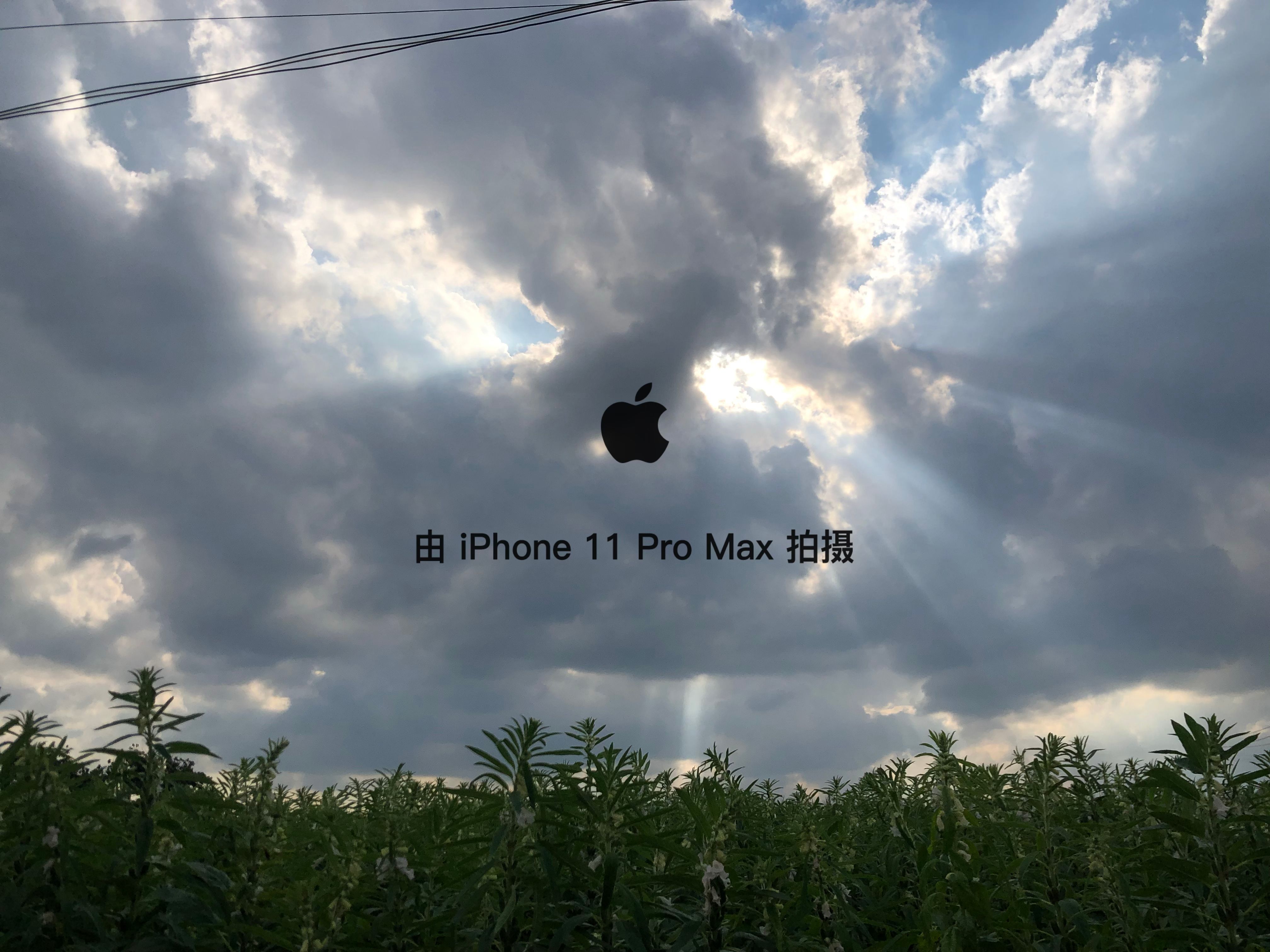 iPhone也能加相机水印了，多种模式任你选择，快来体验吧