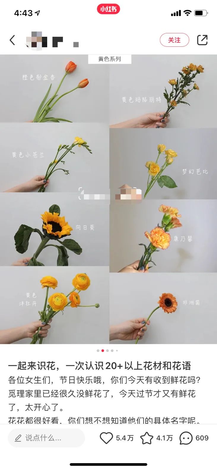 顾客少生意淡？鲜花生意怎么做？她用不到1千元，3个月赚到45万