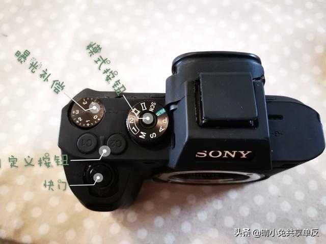 索尼A7R2配佳能2470镜头