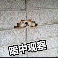 微信全新封号标准！这几种行为非常危险，快看看你违反了吗？