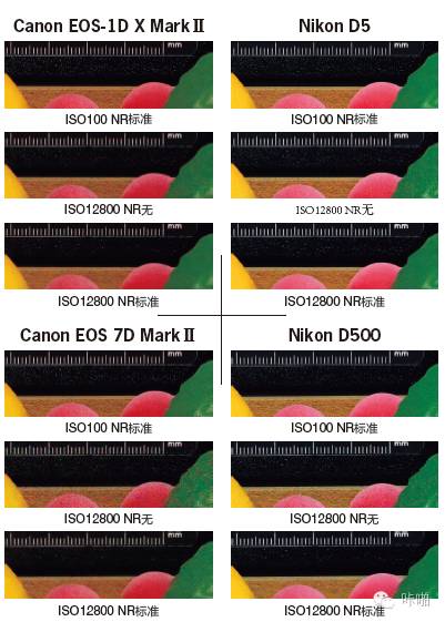 Nikon、Canon 顶级单反综合实力大对决，究竟谁是真正的王者