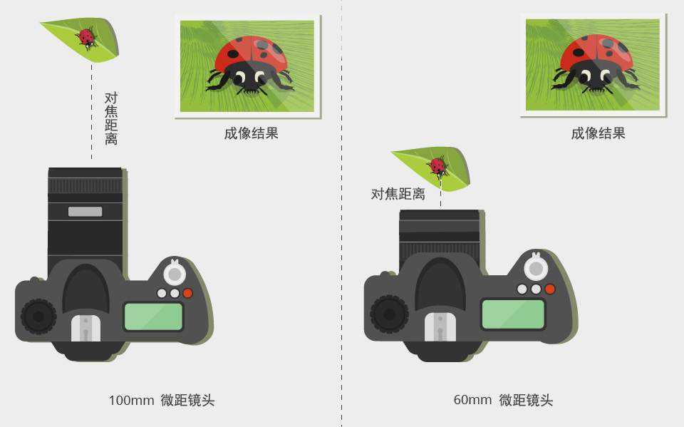 28c8a4e4b3f34ea6930378e21539e2c1?from=pc