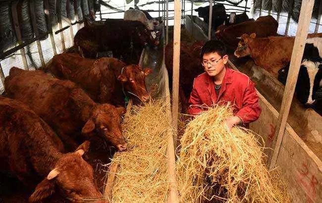 返乡创业失败率90%！我们从10个失败案例中总结了5点原因