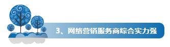 企业为什么纷纷将网络营销外包？