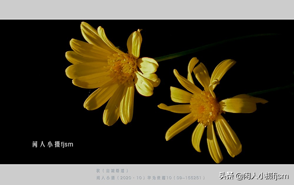 聊手机摄影1：说说手机三种照片分辨率，3:4，9:16，全屏的拍摄