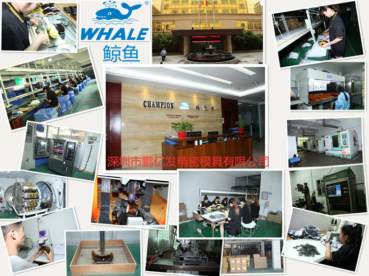 29ed7e106bc94563a5908d1e8b74620d?from=pc