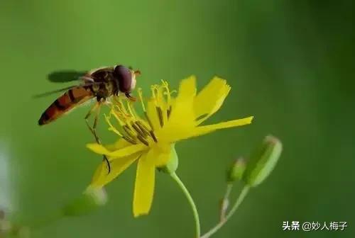 《墨菲定律》：管理好自己的情绪，是一种修行
