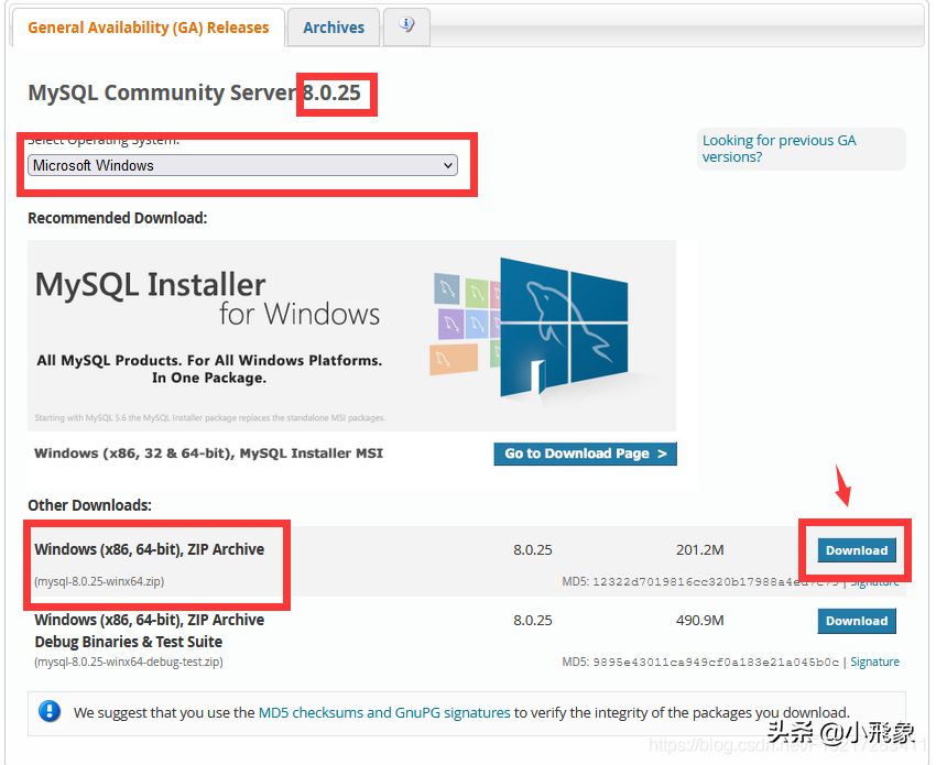 MySQL 8.0.25 - zip方式安装教程（Window10）