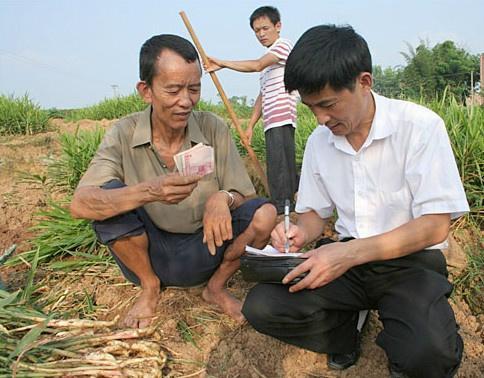 未来农村，这3个项目“吃香”，能赚钱还有补贴拿，农民不妨试试