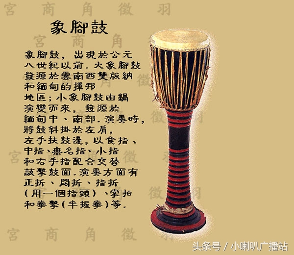 图文并茂，介绍我国传统乐器分类及图谱欣赏