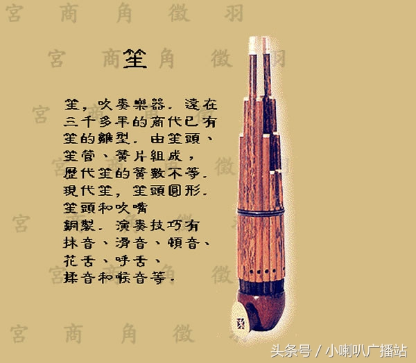 图文并茂，介绍我国传统乐器分类及图谱欣赏