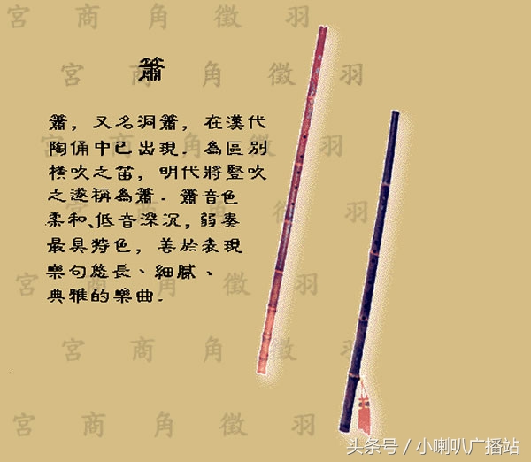 图文并茂，介绍我国传统乐器分类及图谱欣赏