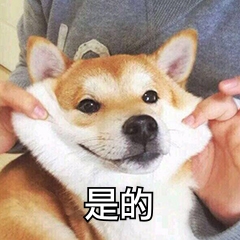 如何拆分PDF文件？五种方法帮你解决