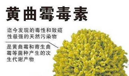 2d01a9337a7342b5a96f8d20ea9d3fd3?from=pc