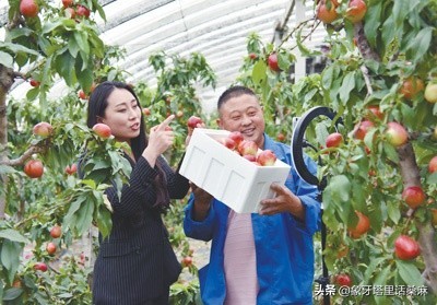农产品直播带货主播话术必备