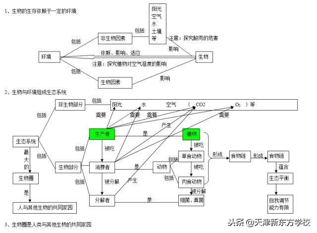 初中生物知识点梳理——思维导图，清晰得不要不要的！