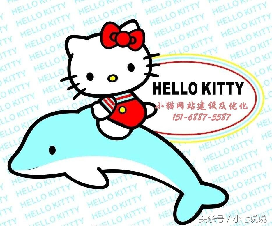 网站优化怎么做哪里做的好，济南小猫网络告诉您